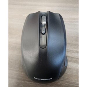 DTI Mouse